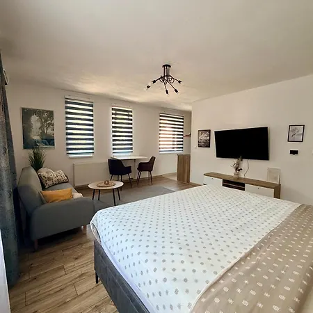 Apartment Ilidza Park Sarajevo