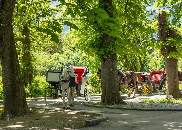 Ilidza Park סראייבו