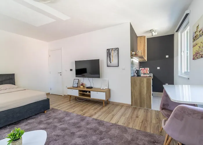 Ilidza Park דירה *